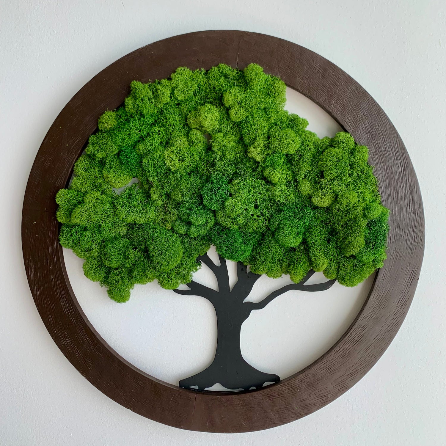 Moss Wall Art