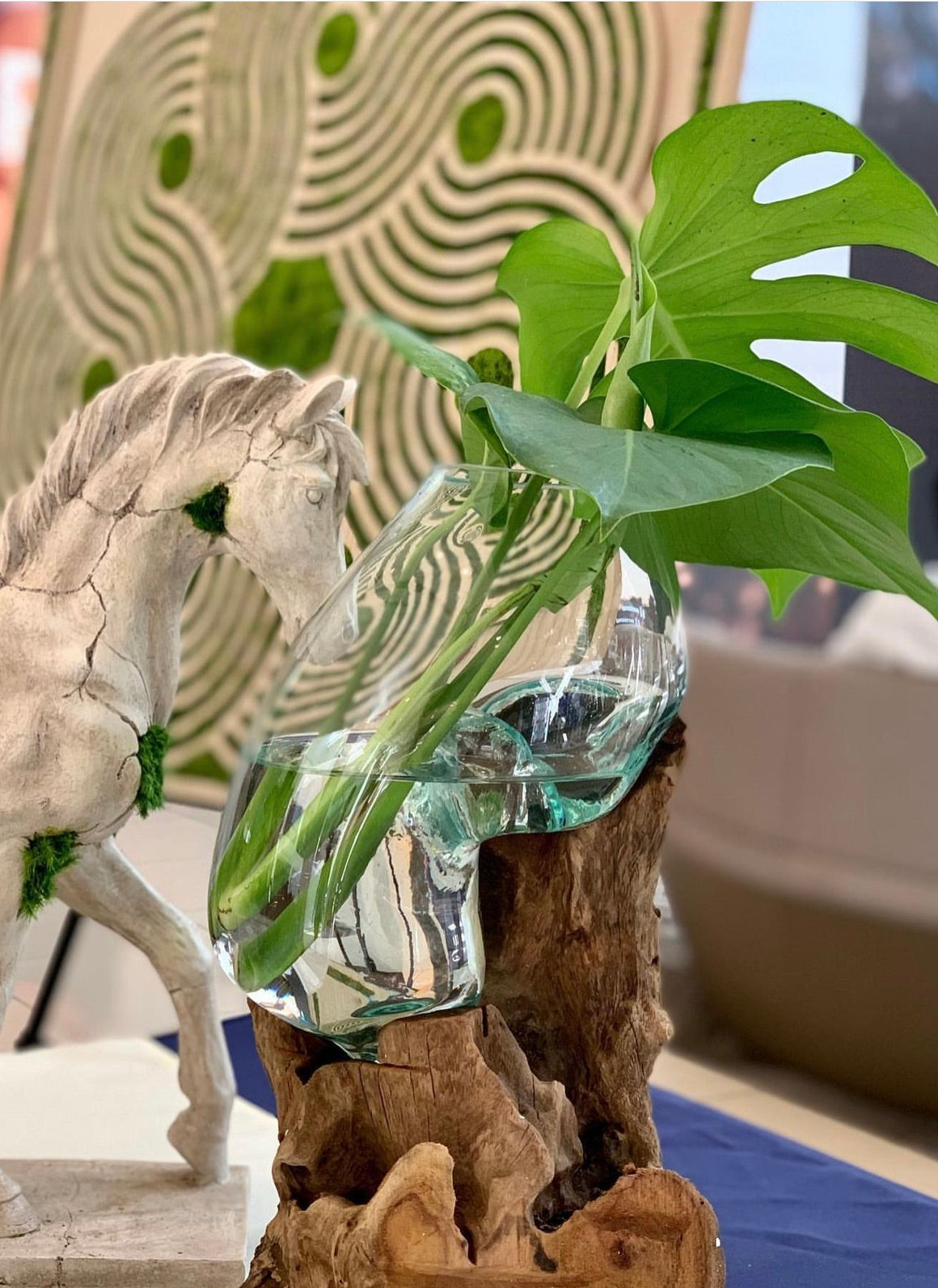 Live Plants and Terrariums