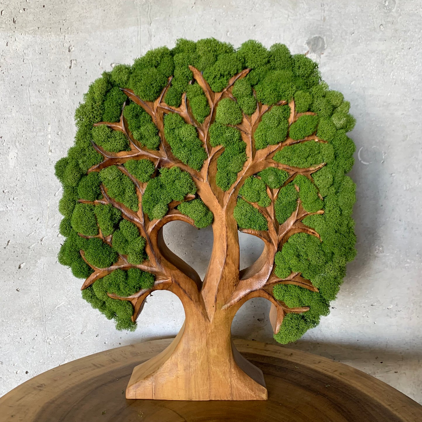 Tree of life Natural Wood With Moss