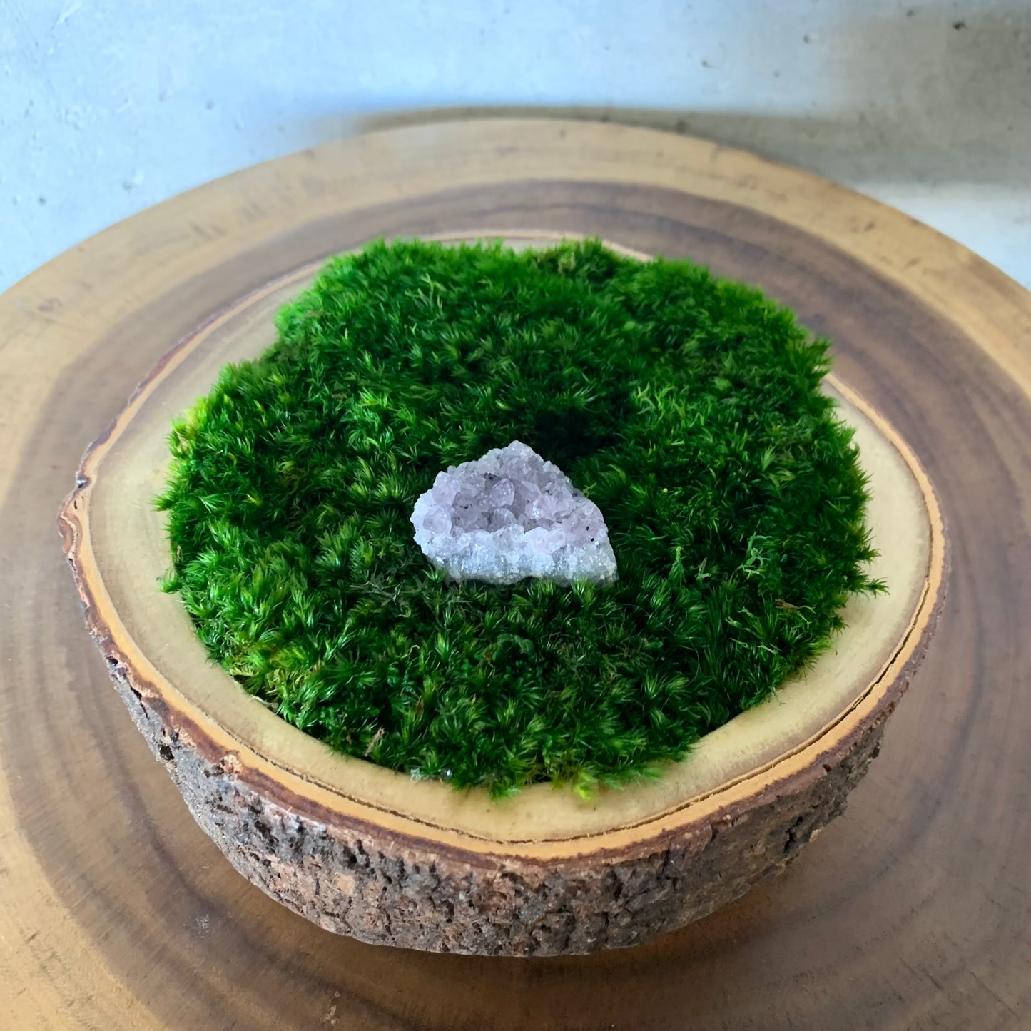 Round wood piece with amethyst and preserved moss