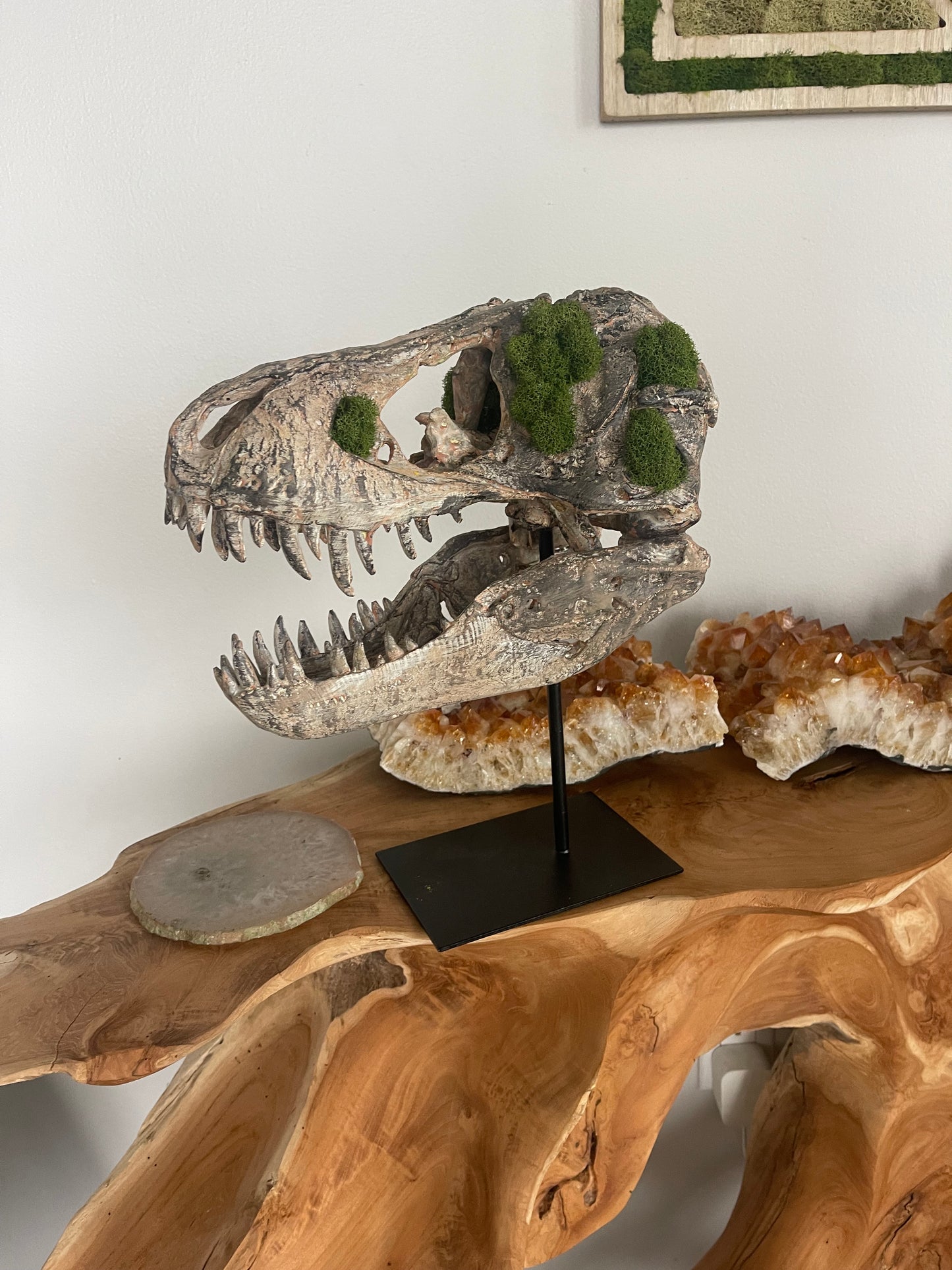 T- Rex Dinosaur with Preserved Moss