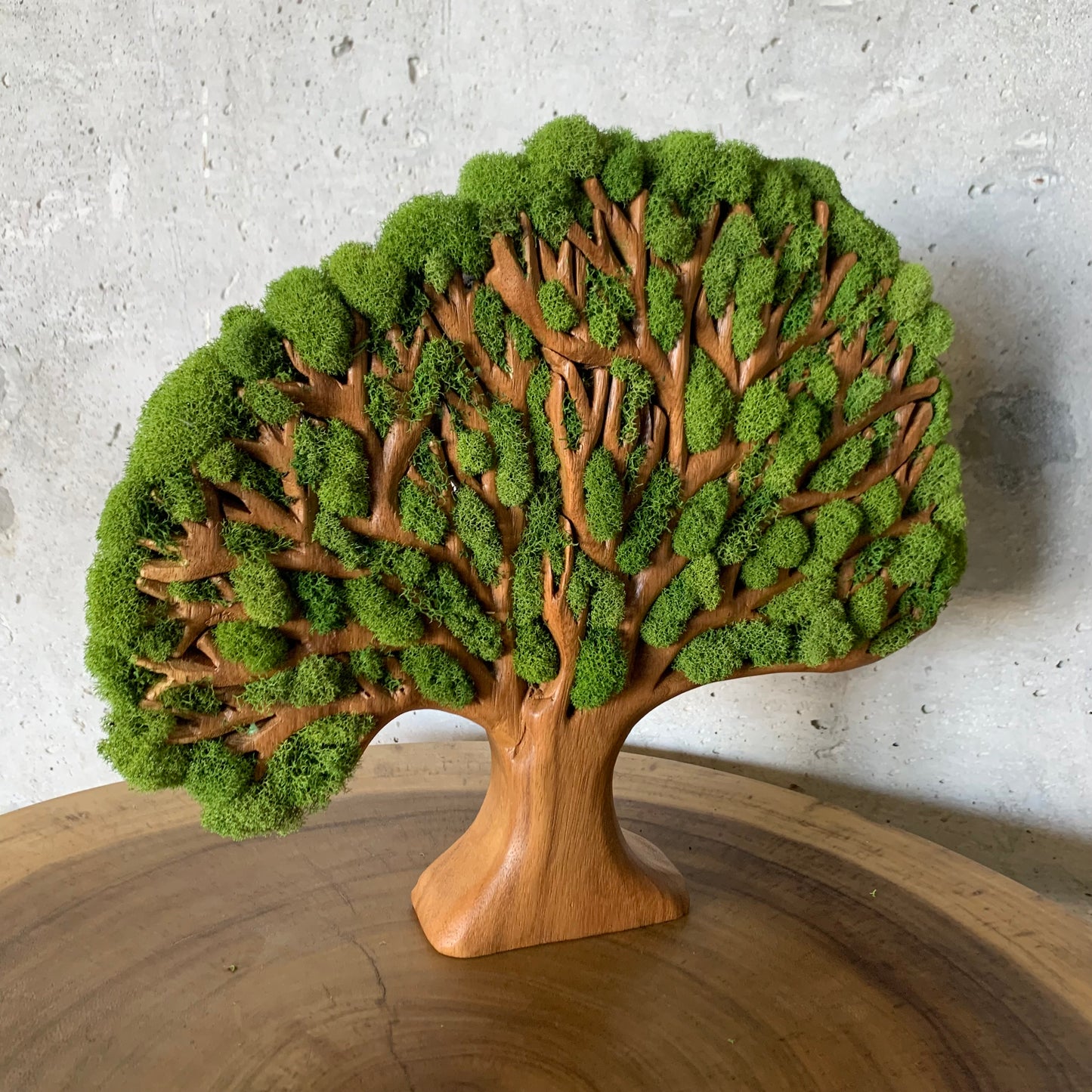 Tree of life Natural Wood With Moss