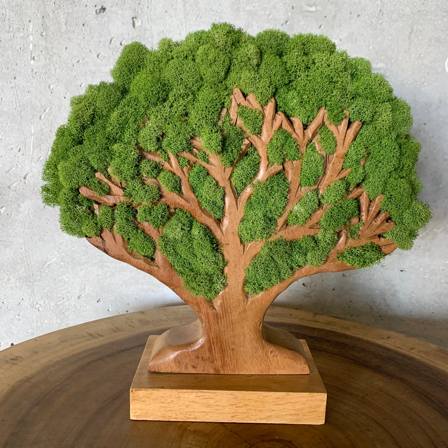 Tree of Life
