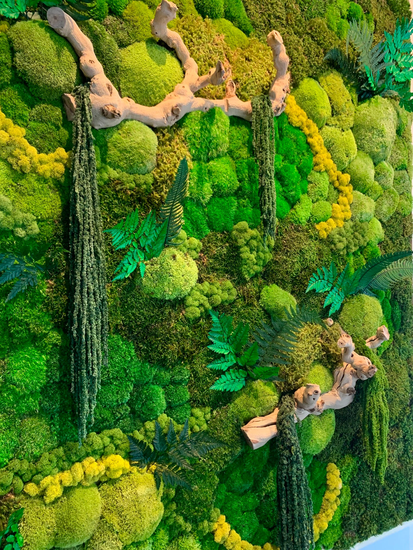 Moss Wall Art Installation Biophilic Design Rainforest