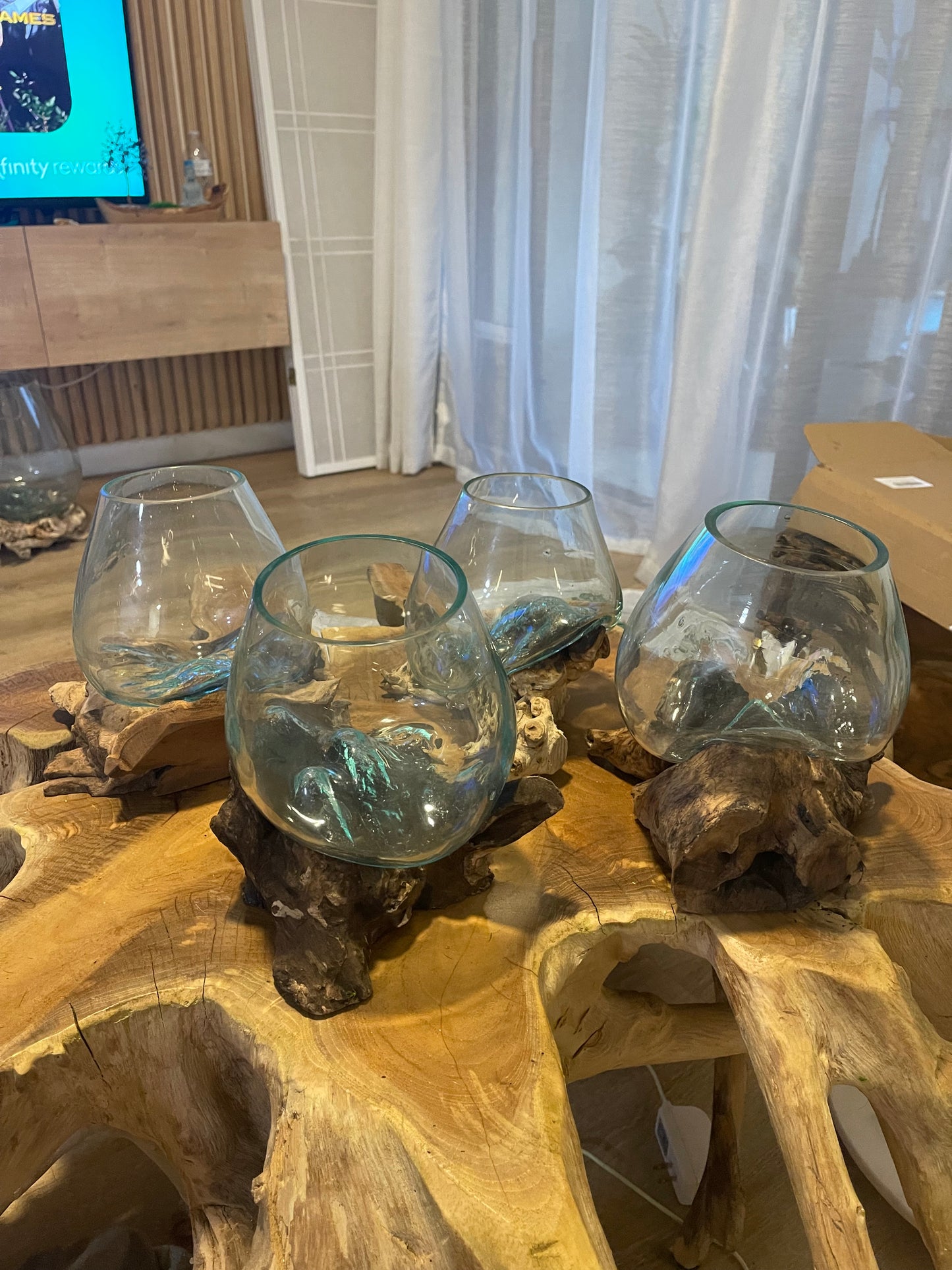 6 inch Diameter Molten Glass Driftwood Wood Bowl Terrarium, Hand Blown, Recycled Glass