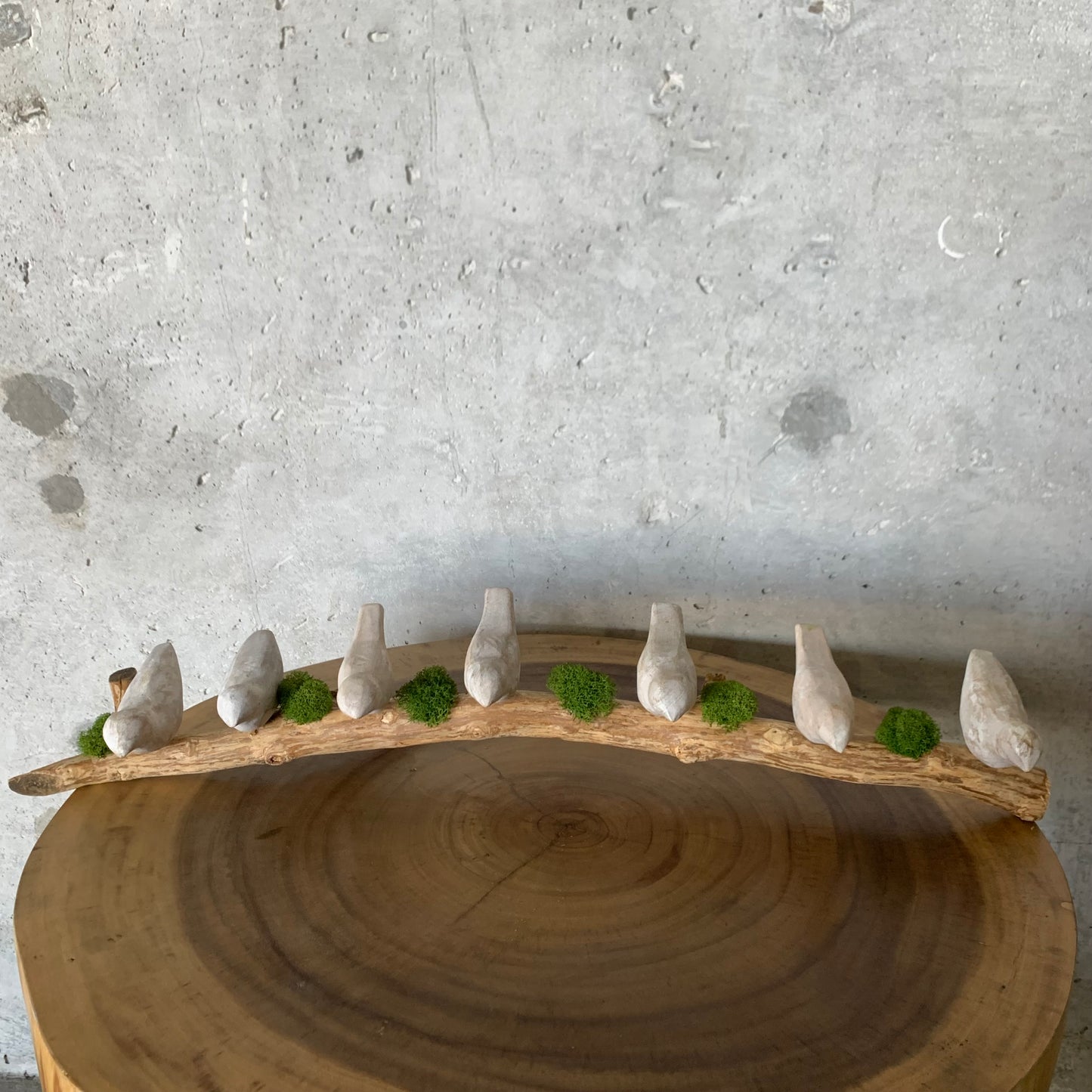 Birds Moss and Natural Wood