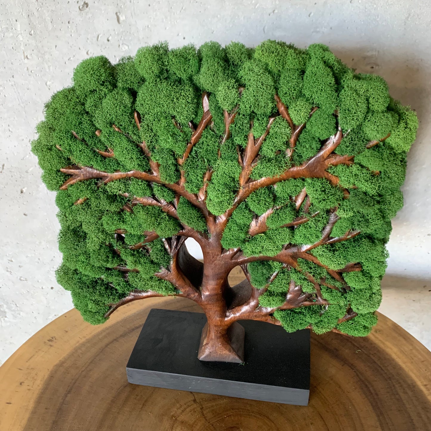 Tree of Life Zen