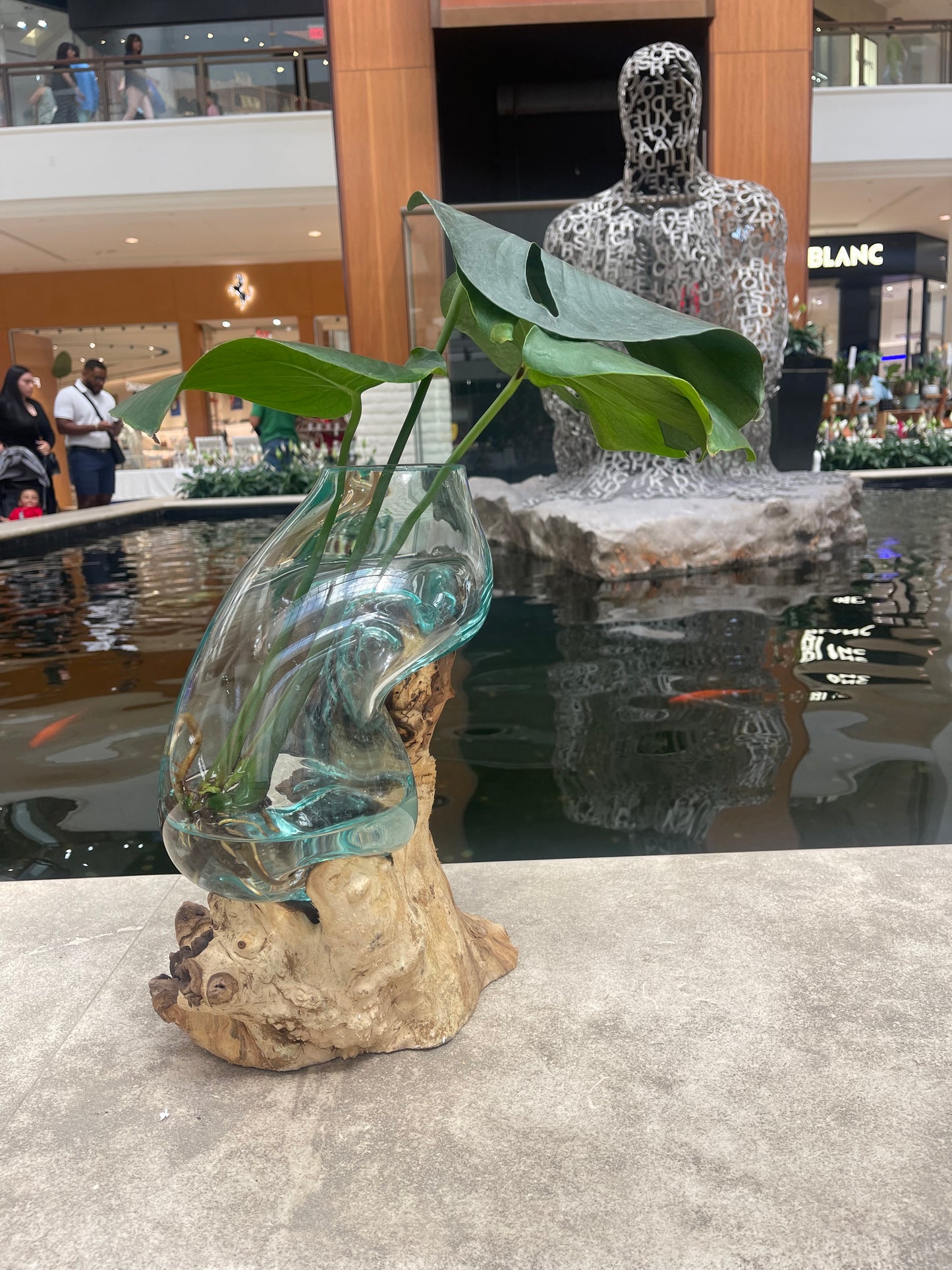 14 Inches Tall Molten Glass Driftwood Wood Bowl Terrarium, Hand Blown, Recycled Glass