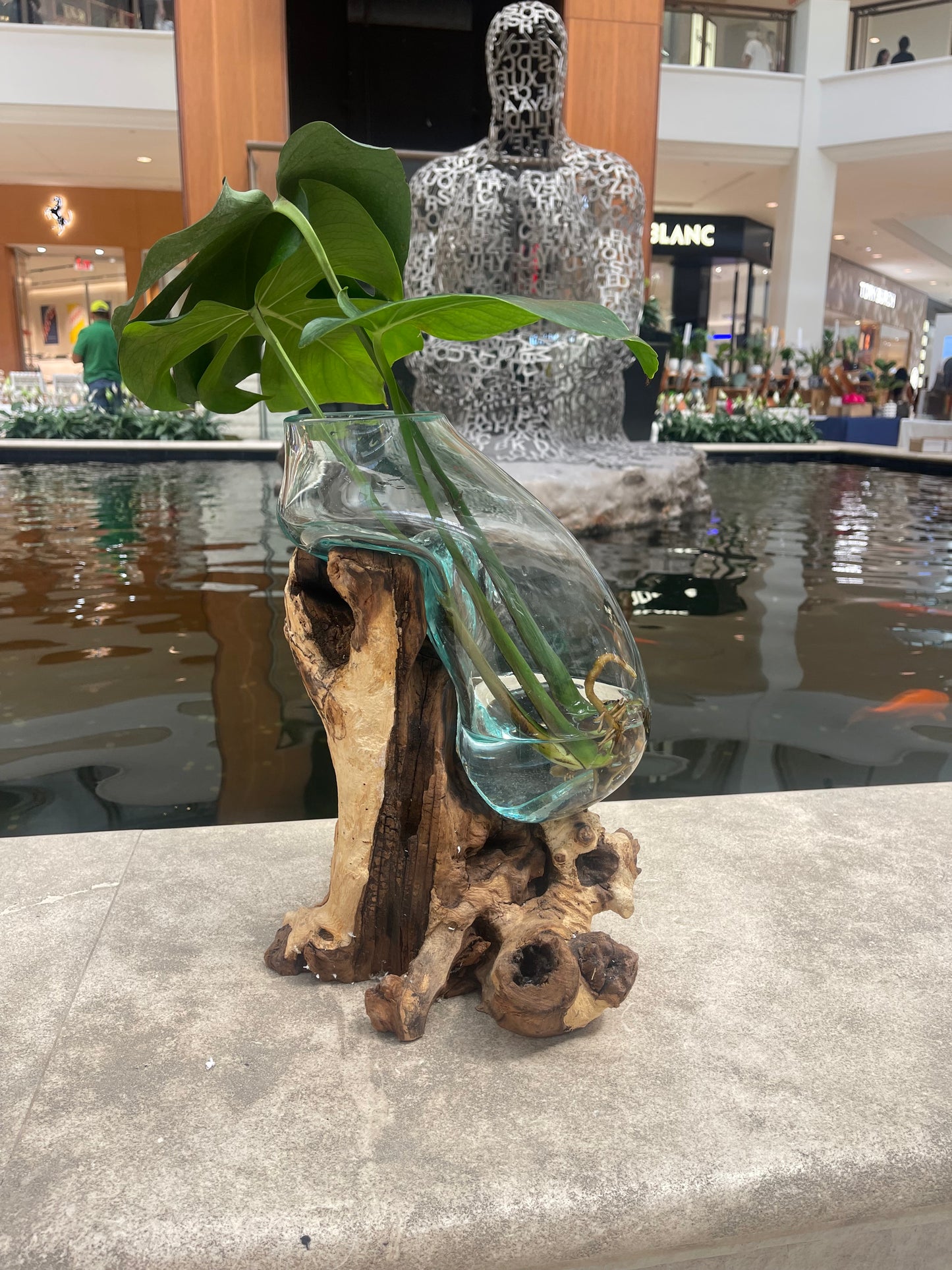 14 Inches Tall Molten Glass Driftwood Wood Bowl Terrarium, Hand Blown, Recycled Glass