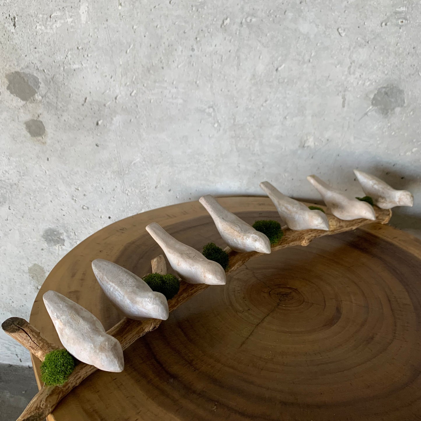 Birds Moss and Natural Wood