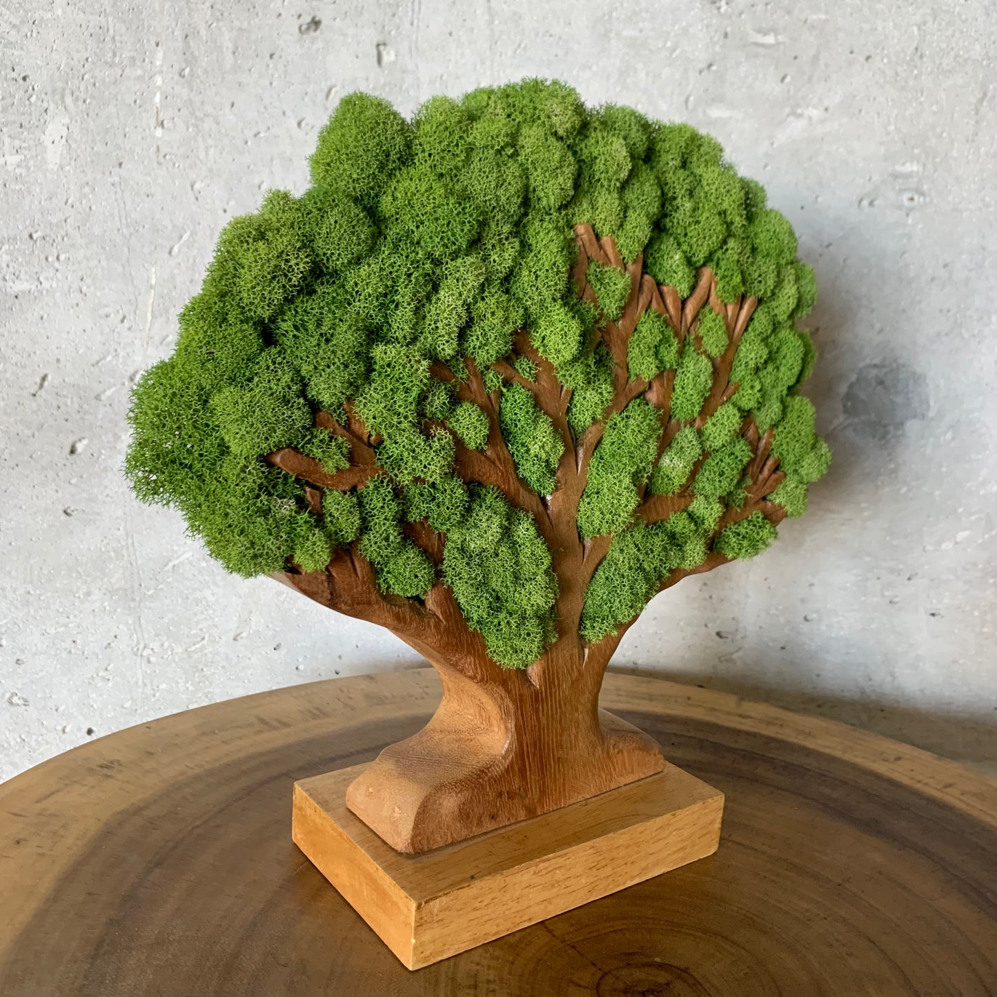 Tree of Life