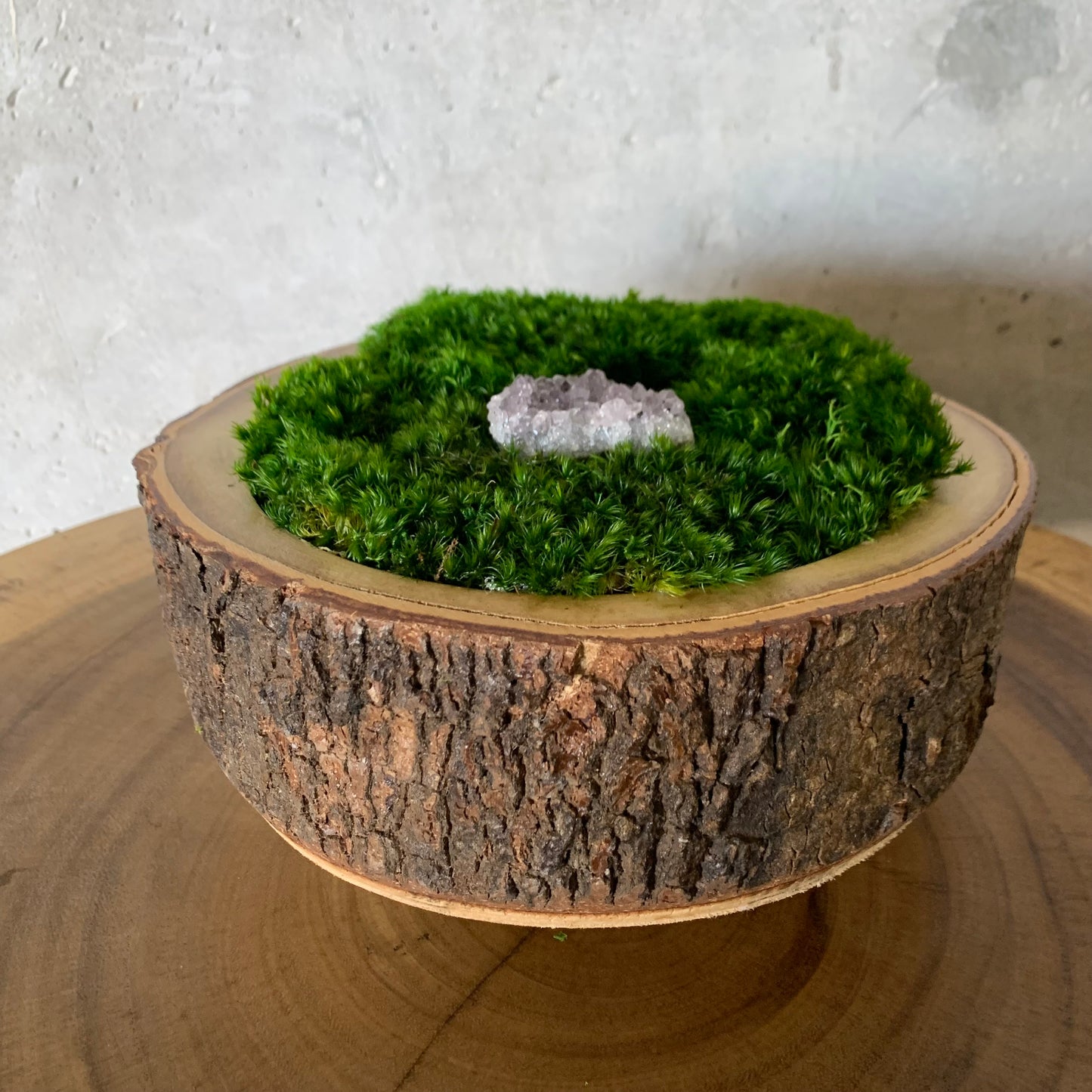 Round wood piece with amethyst and preserved moss