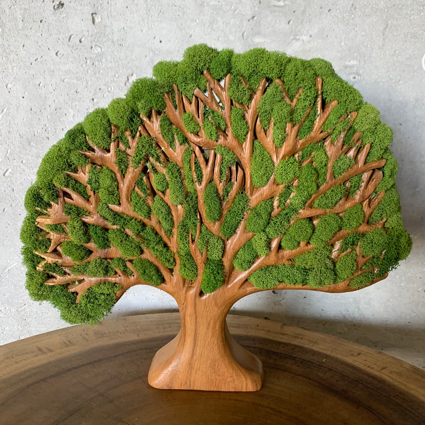 Tree of life Natural Wood With Moss