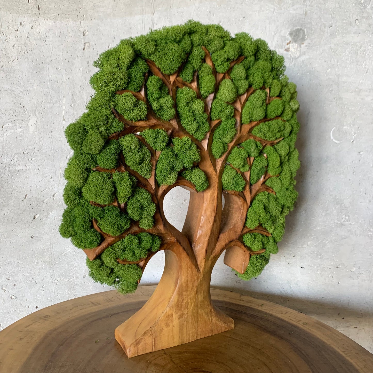 Tree of life Natural Wood With Moss