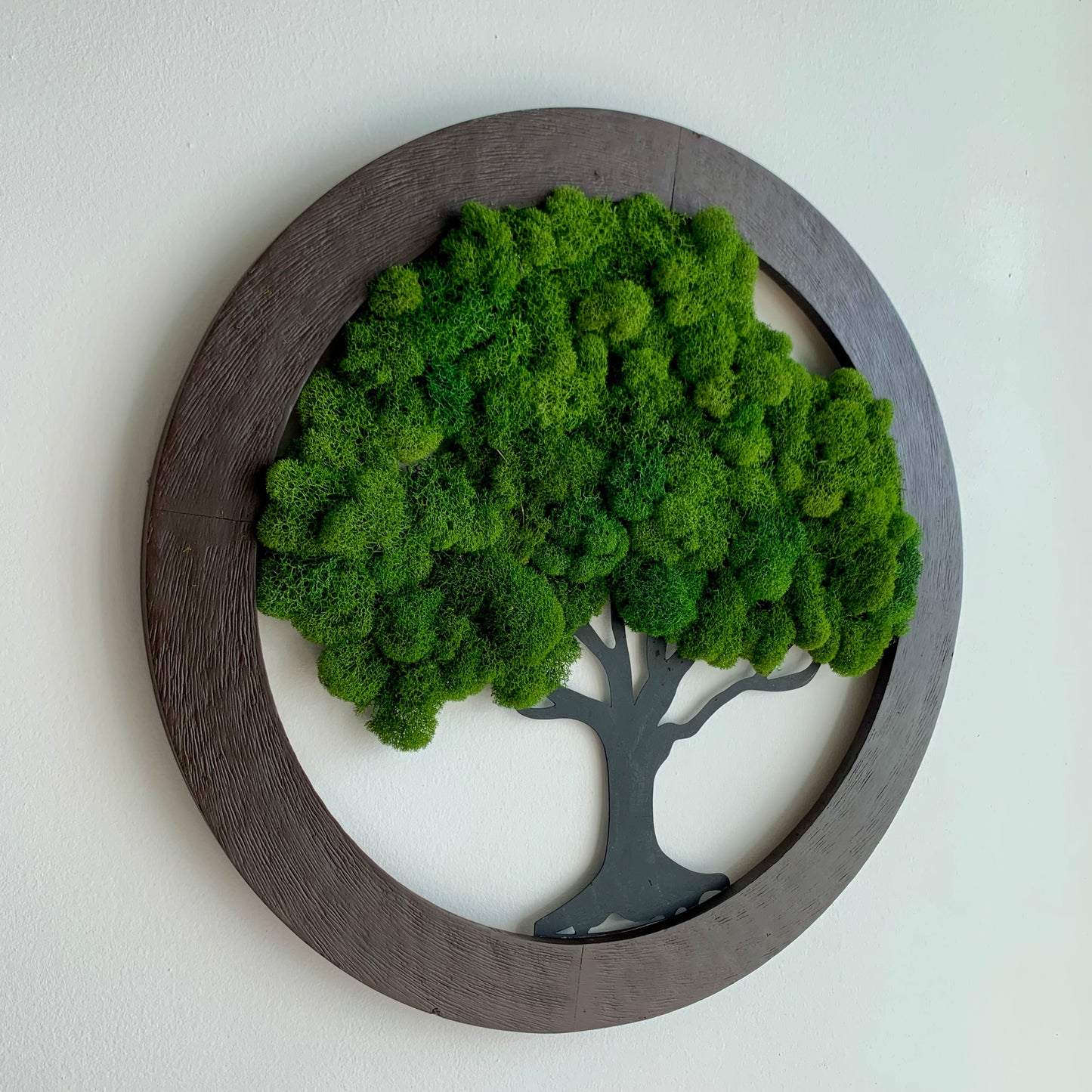 Tree of Life -Round Tree Metal Wall Decor Preserved Moss 20" Dark Walnut Color