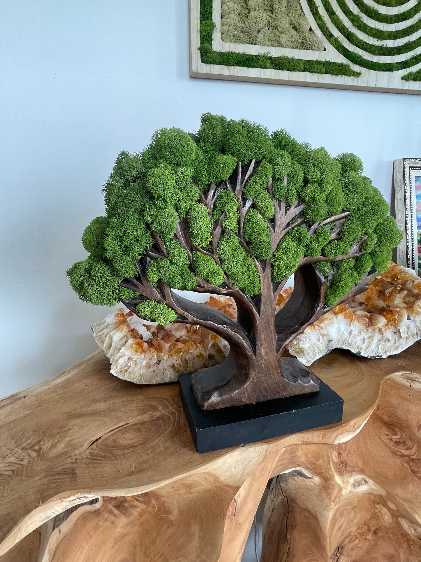 Tree of Life