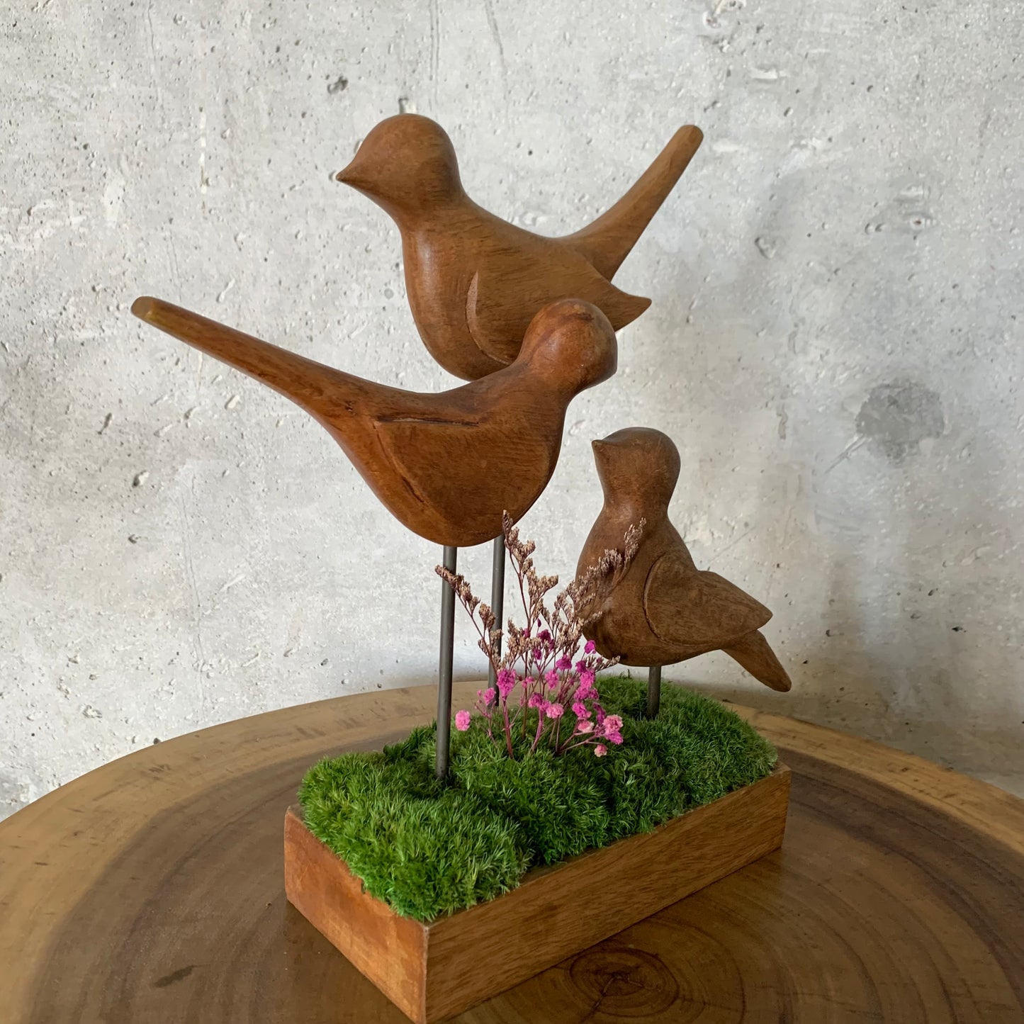 Natural Wooden Mango Bird Stand on a field of Moss