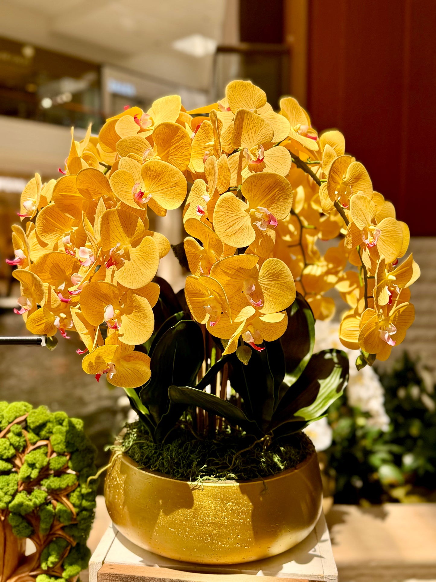 Faux Yellow Orchids Flower Composition in Ceramic Vase with Natural Moss – Luxury Botanical Decor Florida (Copy)