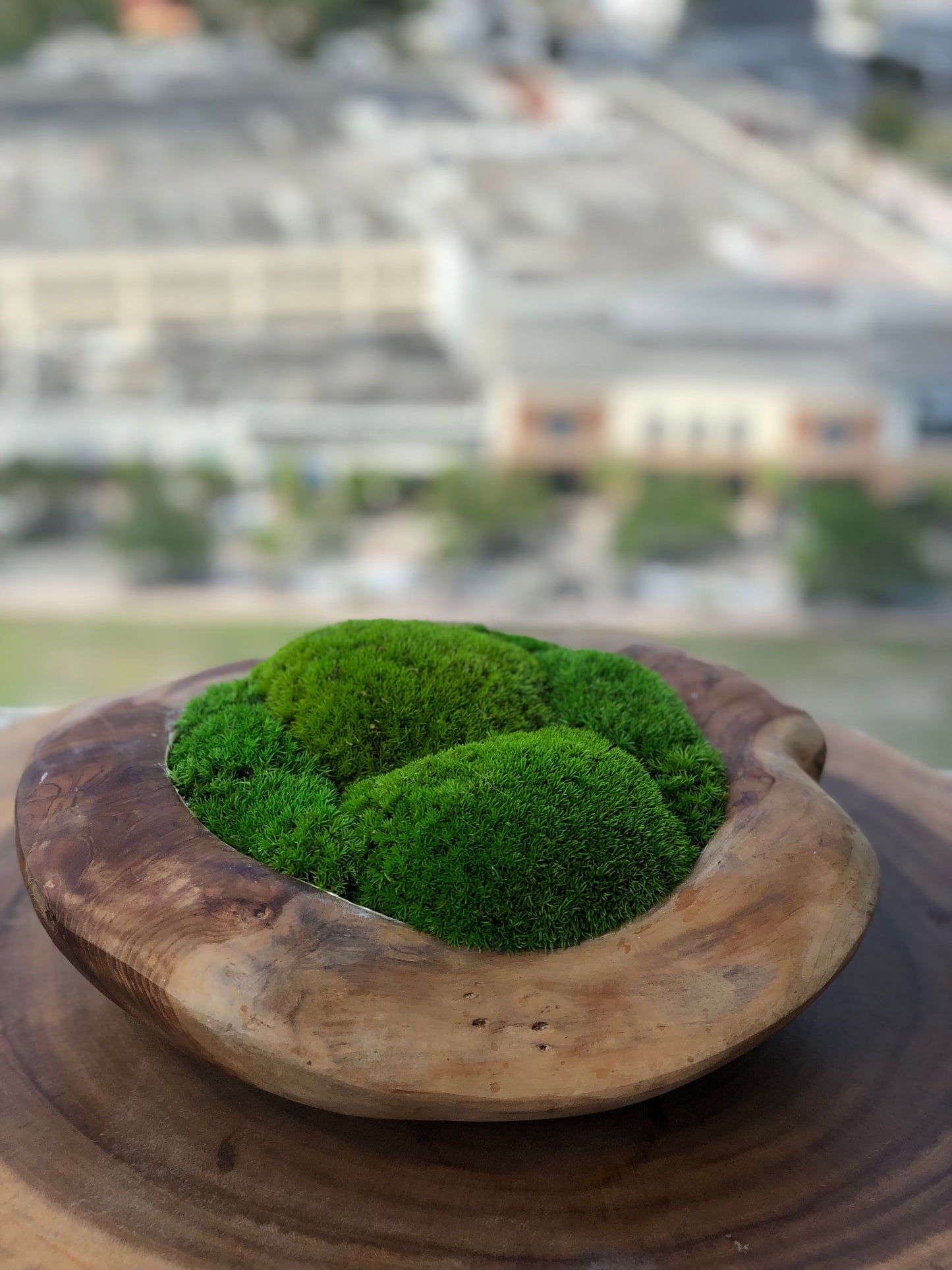 Round Moss Bowl, Centerpiece for Dining Table