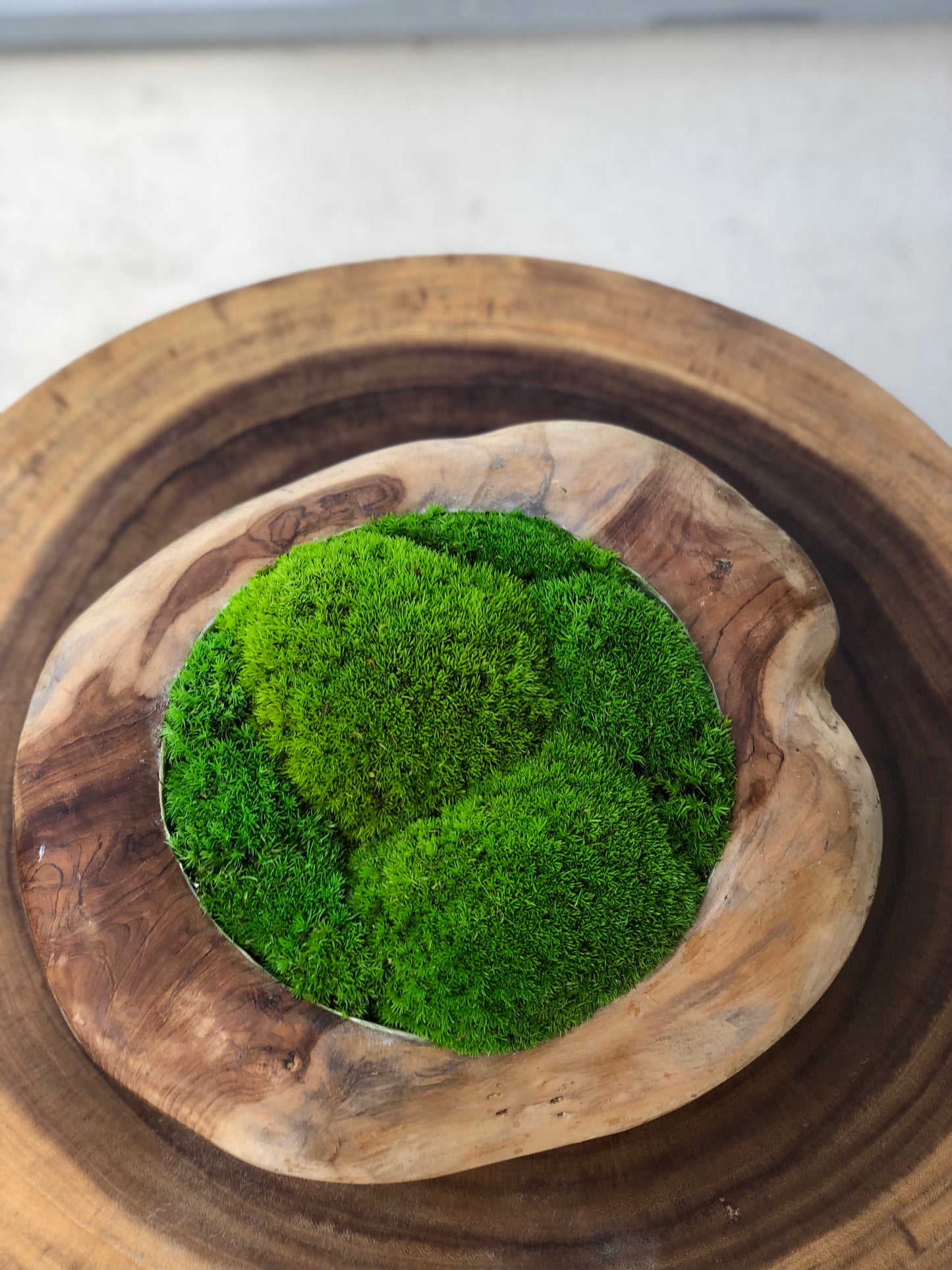 Round Moss Bowl, Centerpiece for Dining Table