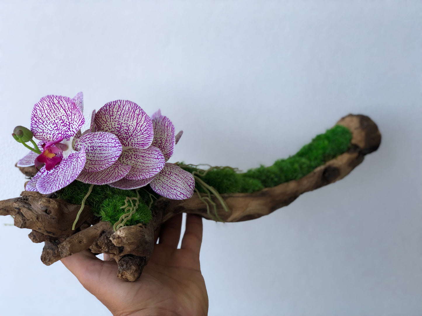 Driftwood Preserved Moss with Artificial Orchids