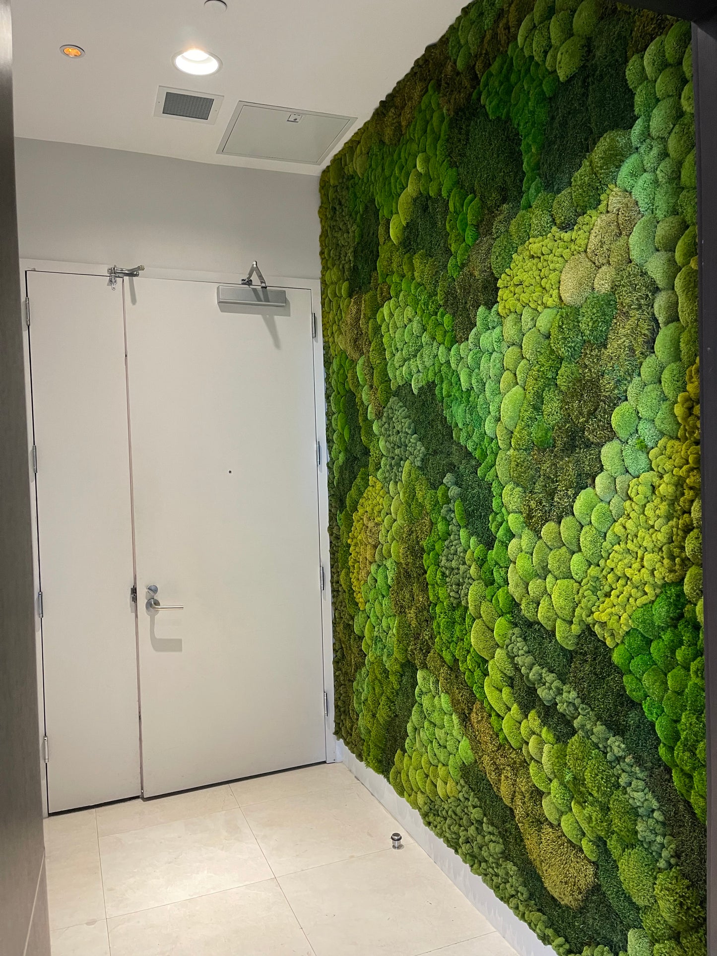 Moss Art Installation Biophilic Design- Custom Made