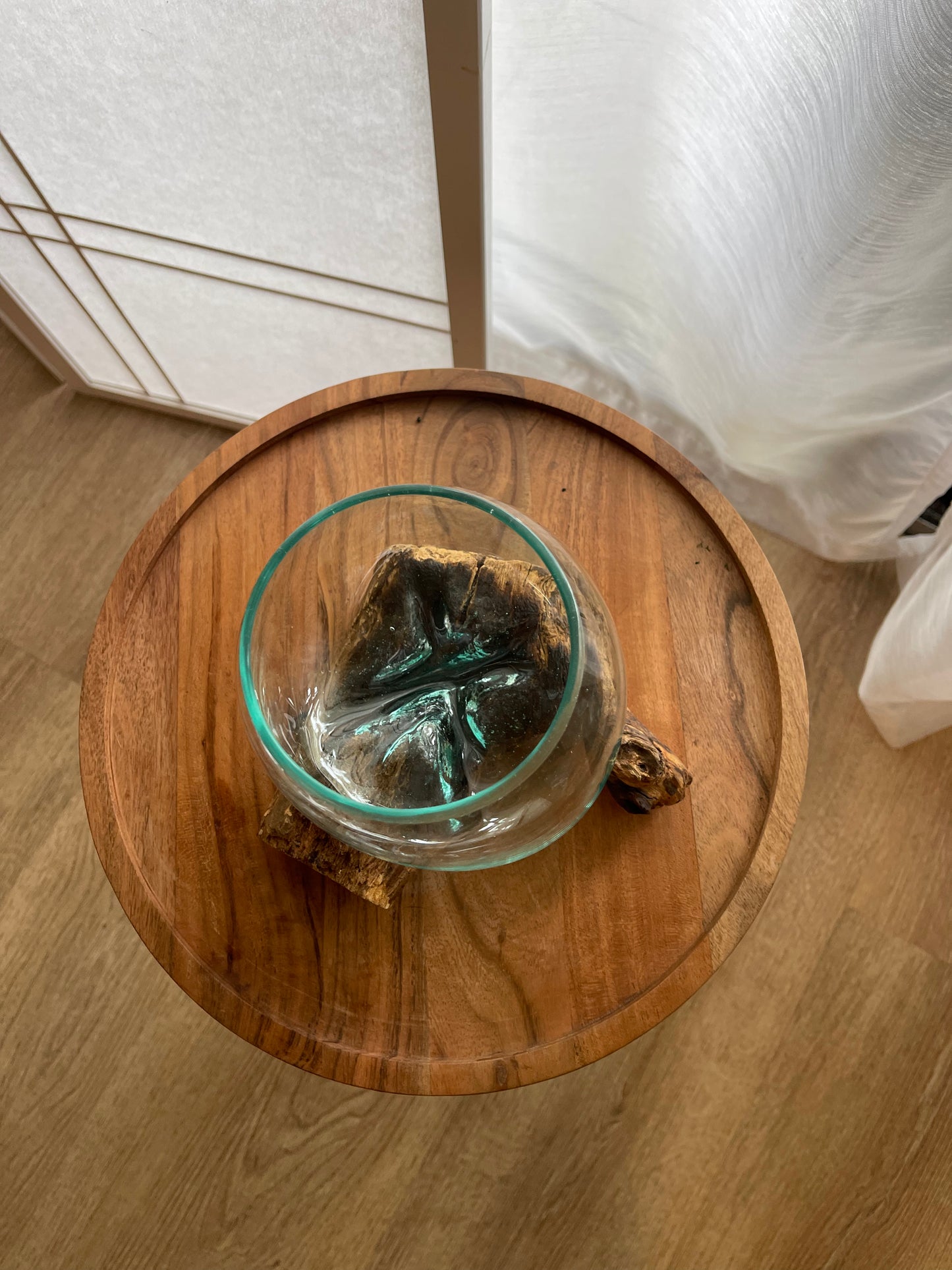 5 inch Diameter Molten Glass Driftwood Wood Bowl Terrarium, Hand Blown, Recycled Glass