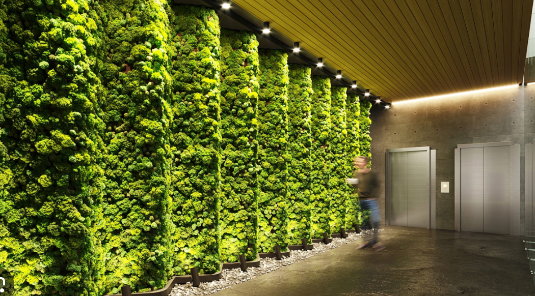 Custom Moss Wall Installations for Miami Hotels and Restaurants