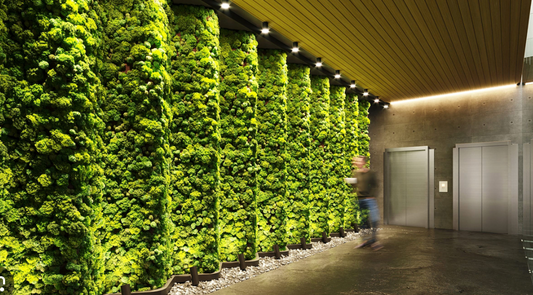 Custom Moss Wall Installations for Miami Hotels and Restaurants