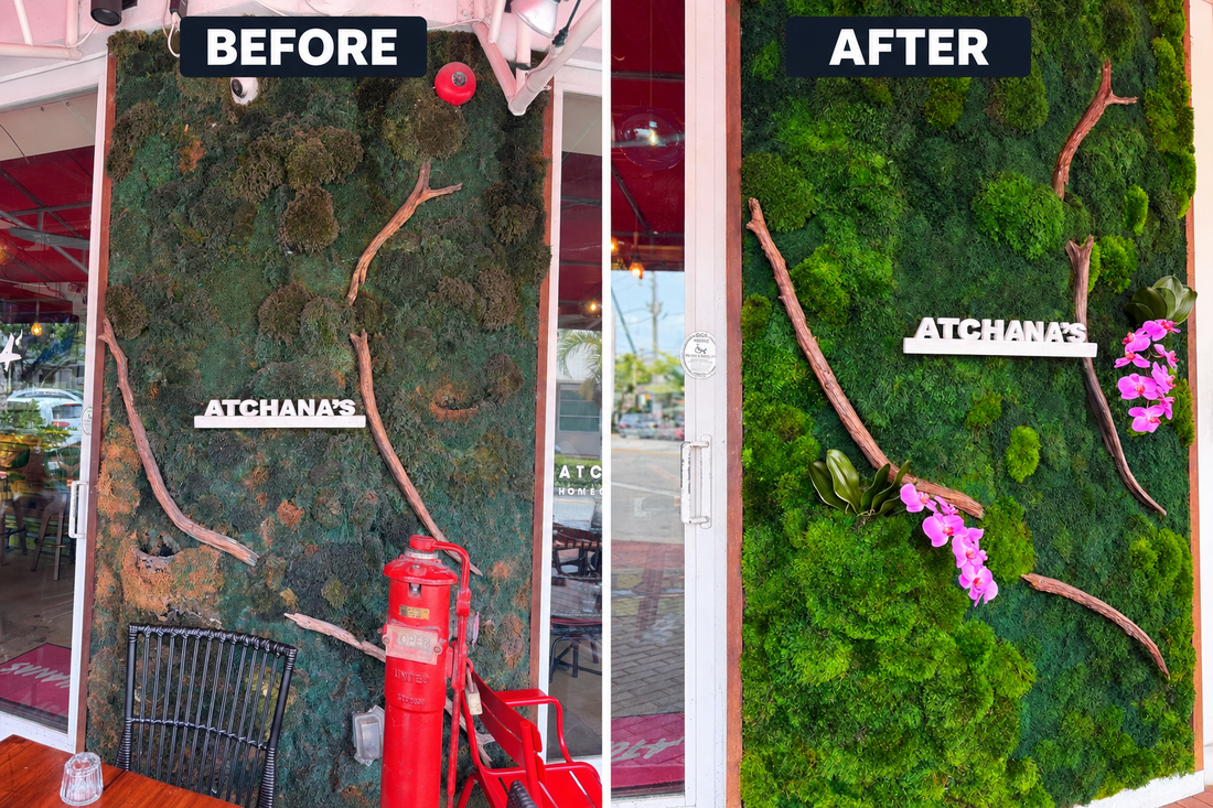 Before & After: Moss Wall Transformation at Atchana's