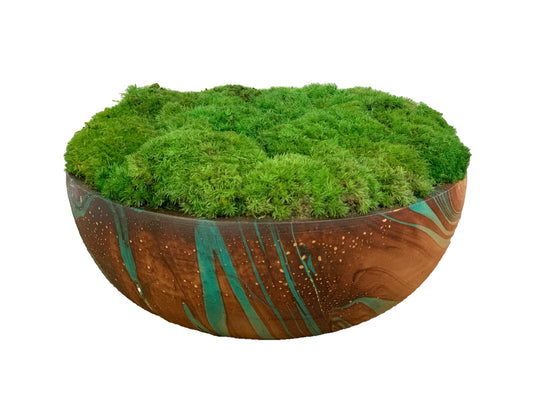 Moss Displayed on Multicolored Wood ROUND