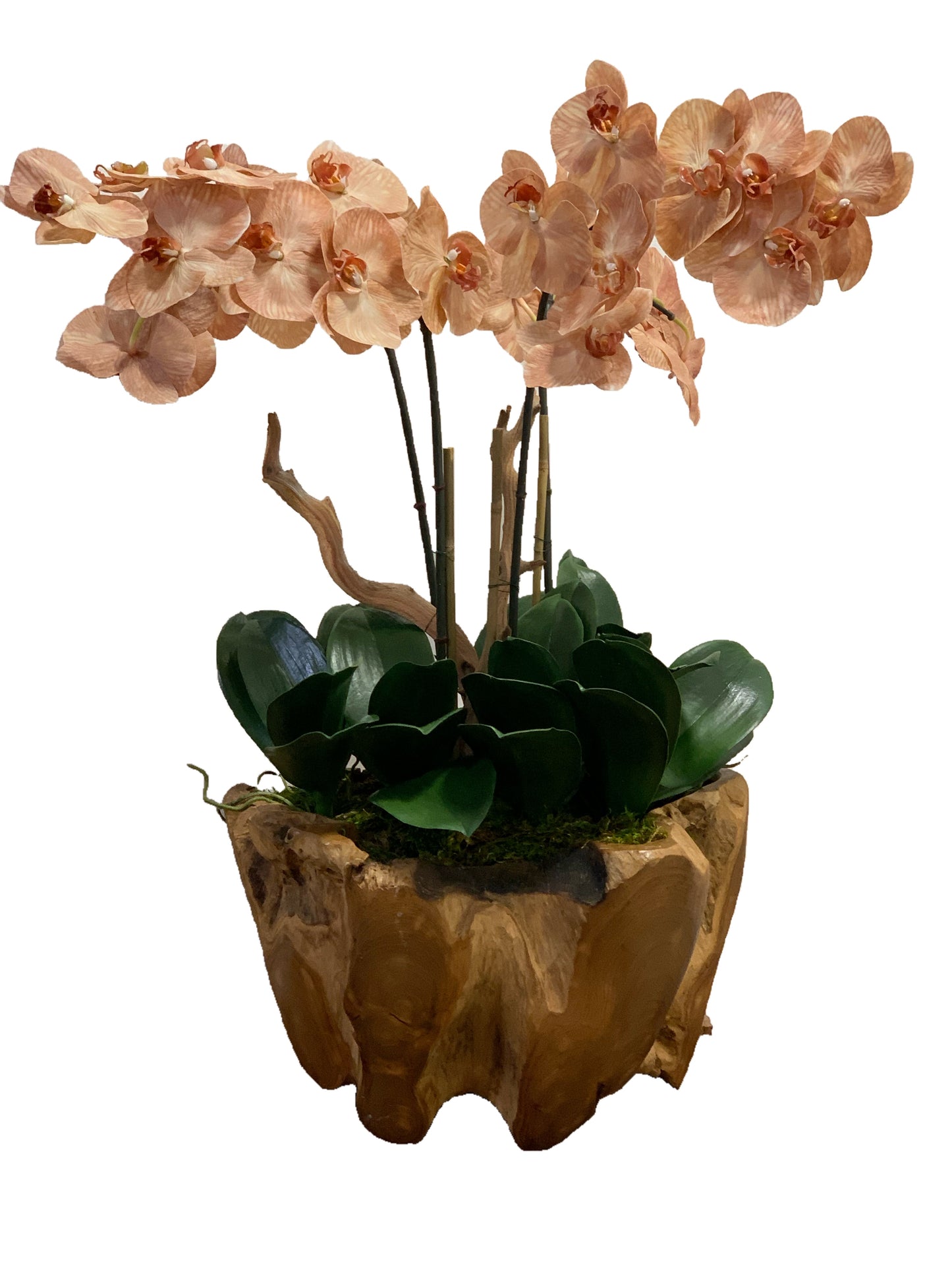 Artificial Large Orchid Flower Composition in Teak Wood and Natural Moss