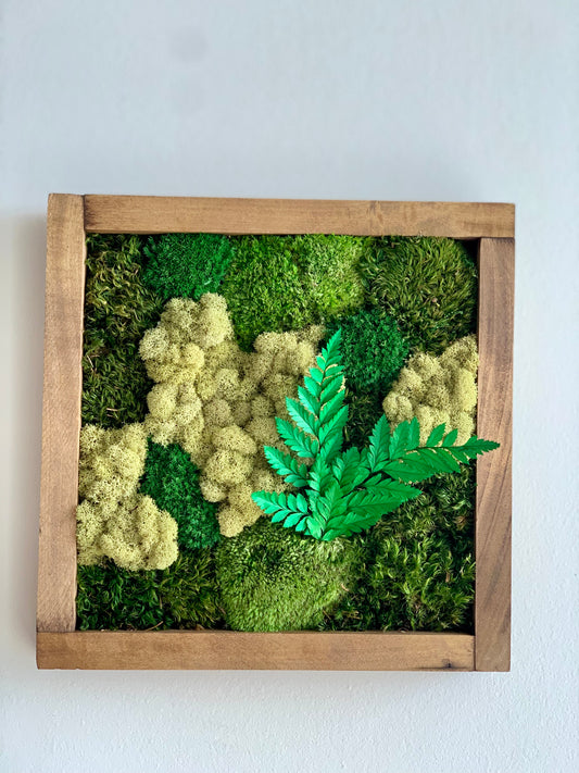 Moss Wall Art (d)