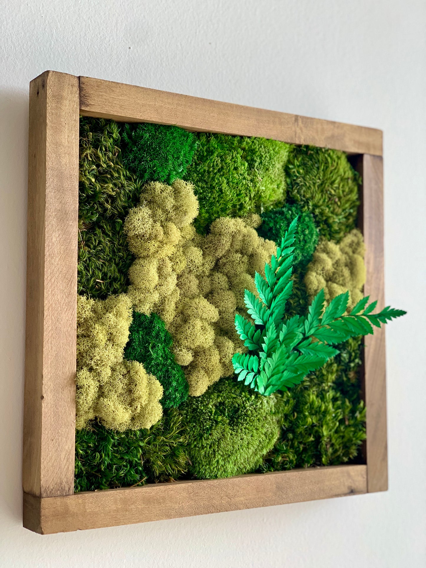 Moss Wall Art (d)