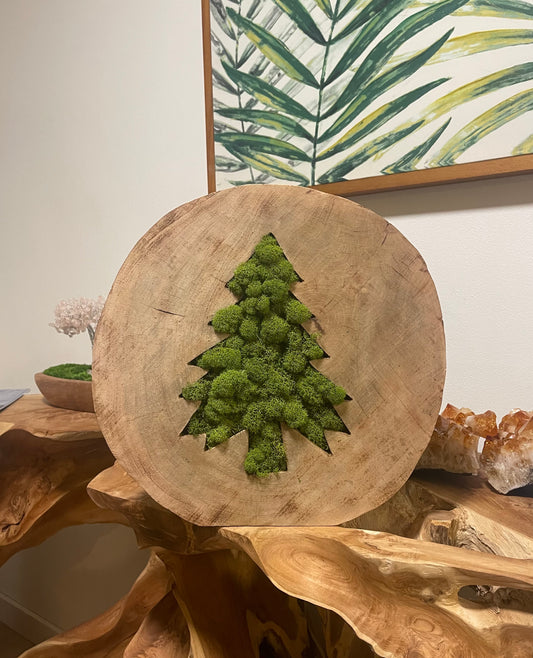 Fir Tree (13.5 inch round 2.5 inch thick)