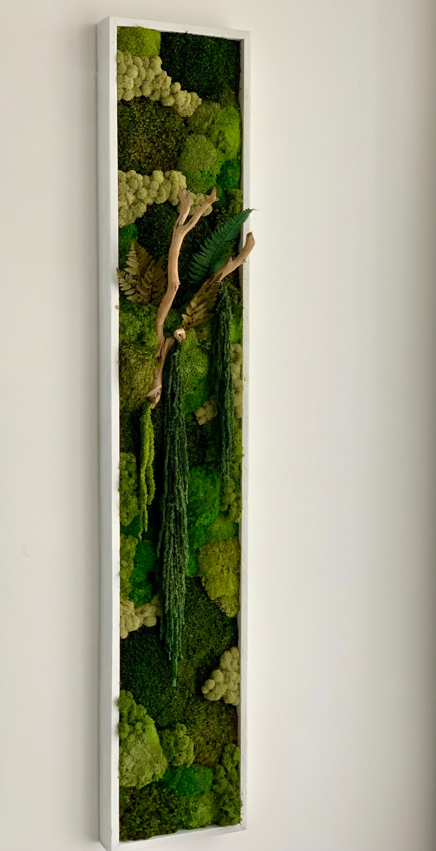 Moss Art 11”x59”