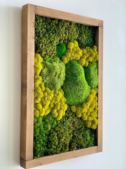 Moss Wall Art (a)