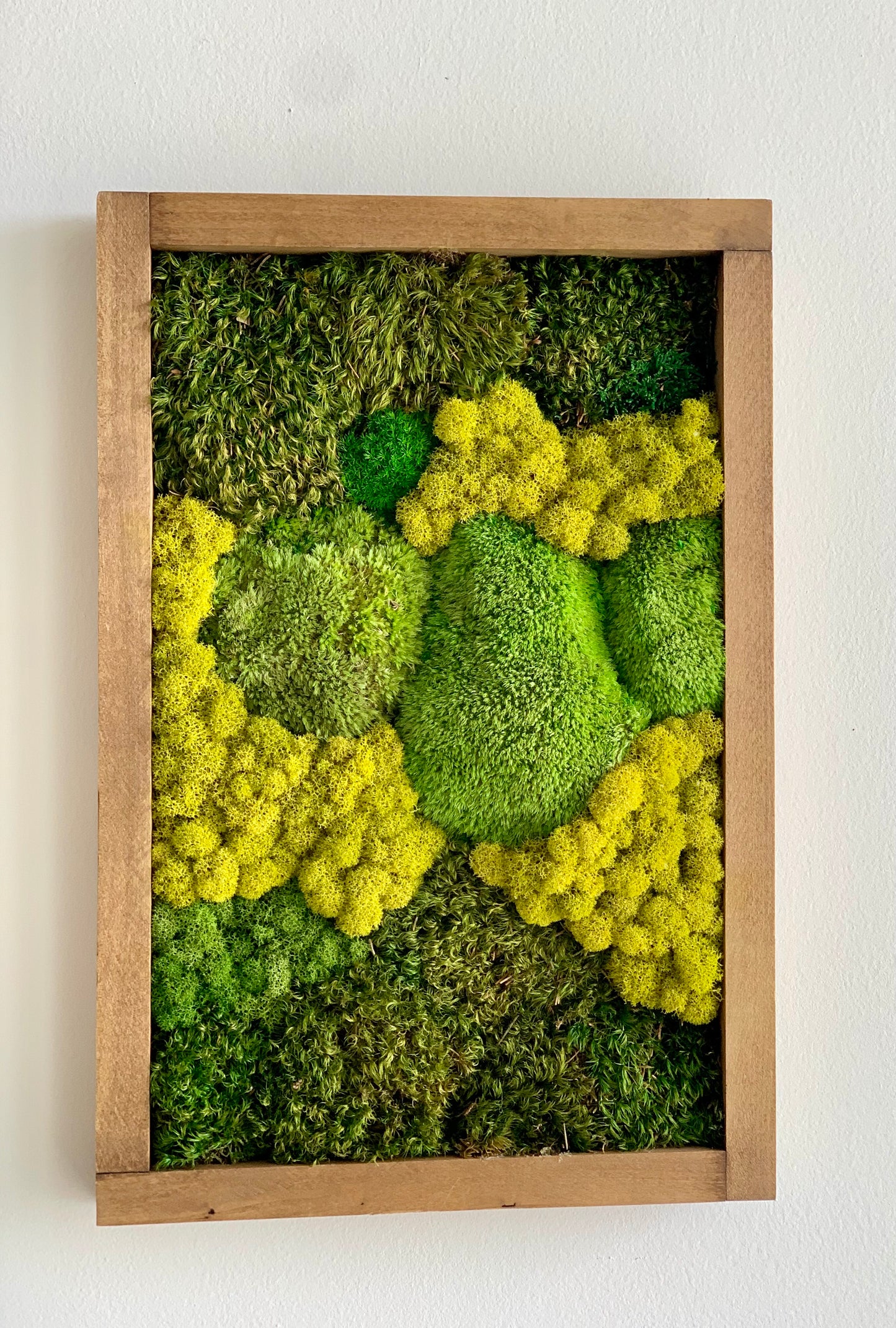 Moss Wall Art (a)