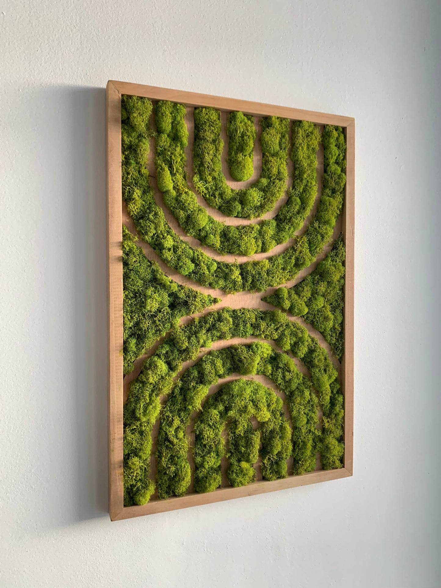 Contemporary Moss Art Brown