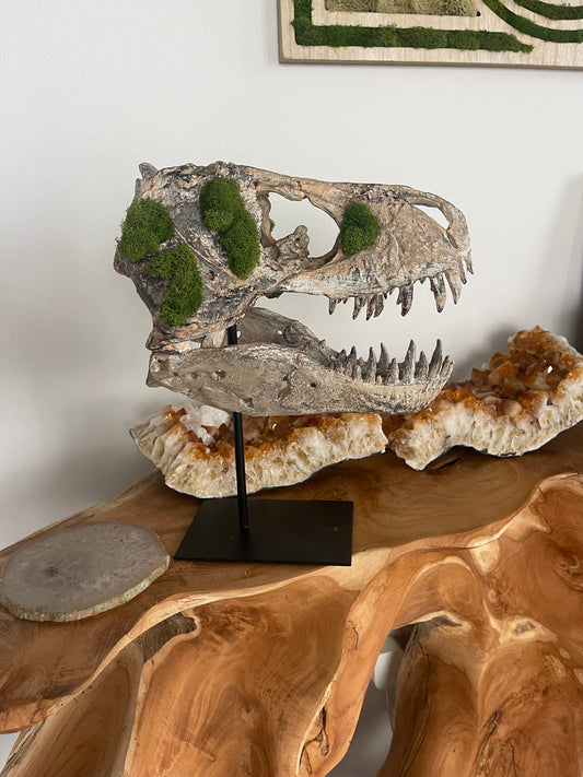 T- Rex Dinosaur with Preserved Moss