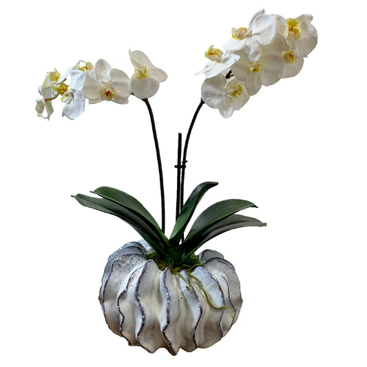 Artificial 18" Orchid Flower Composition in Ceramic Thailand Vase and Natural Moss