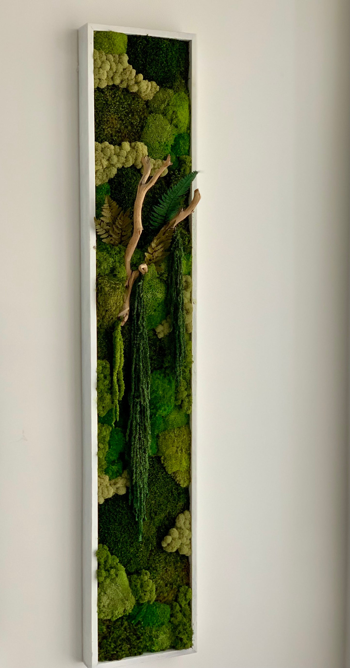 Moss Art 11”x59”