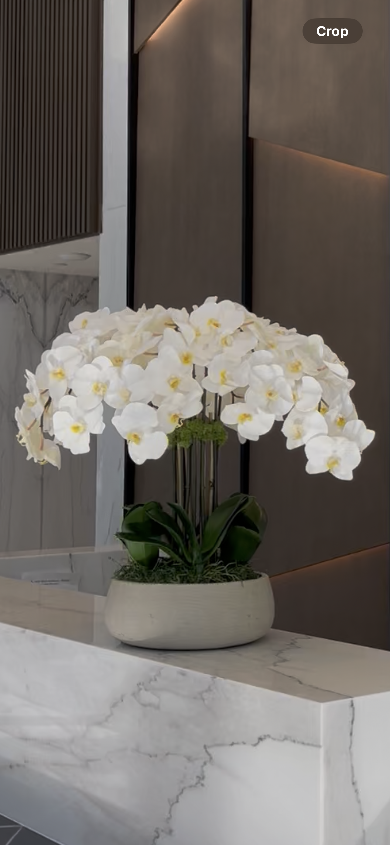 Faux White Orchid Flower Composition in Ceramic Vase and Natural Moss