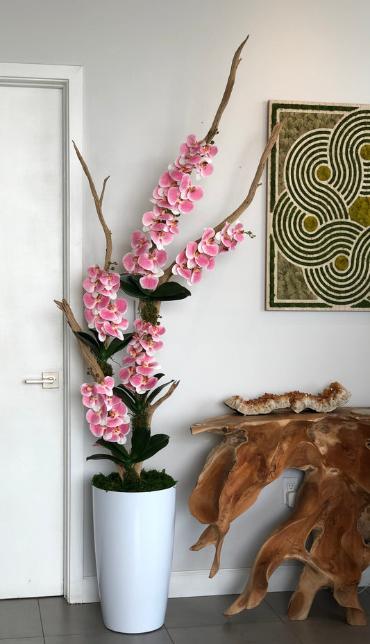 Orchids on driftwood standing piece.