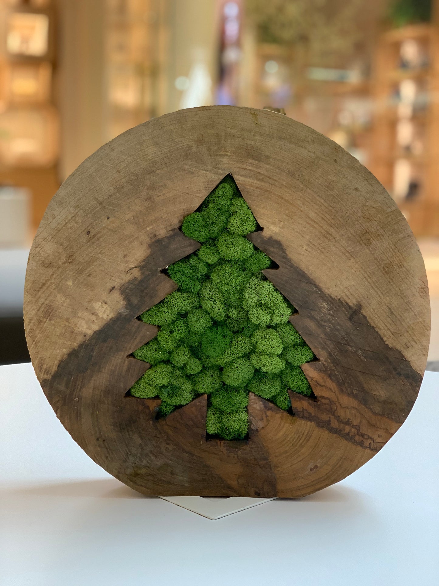 Fir Tree (13.5 inch round 2.5 inch thick)