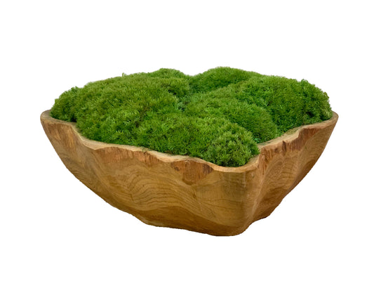 Moss Displayed on Wood Abstrac t(Made to Order)