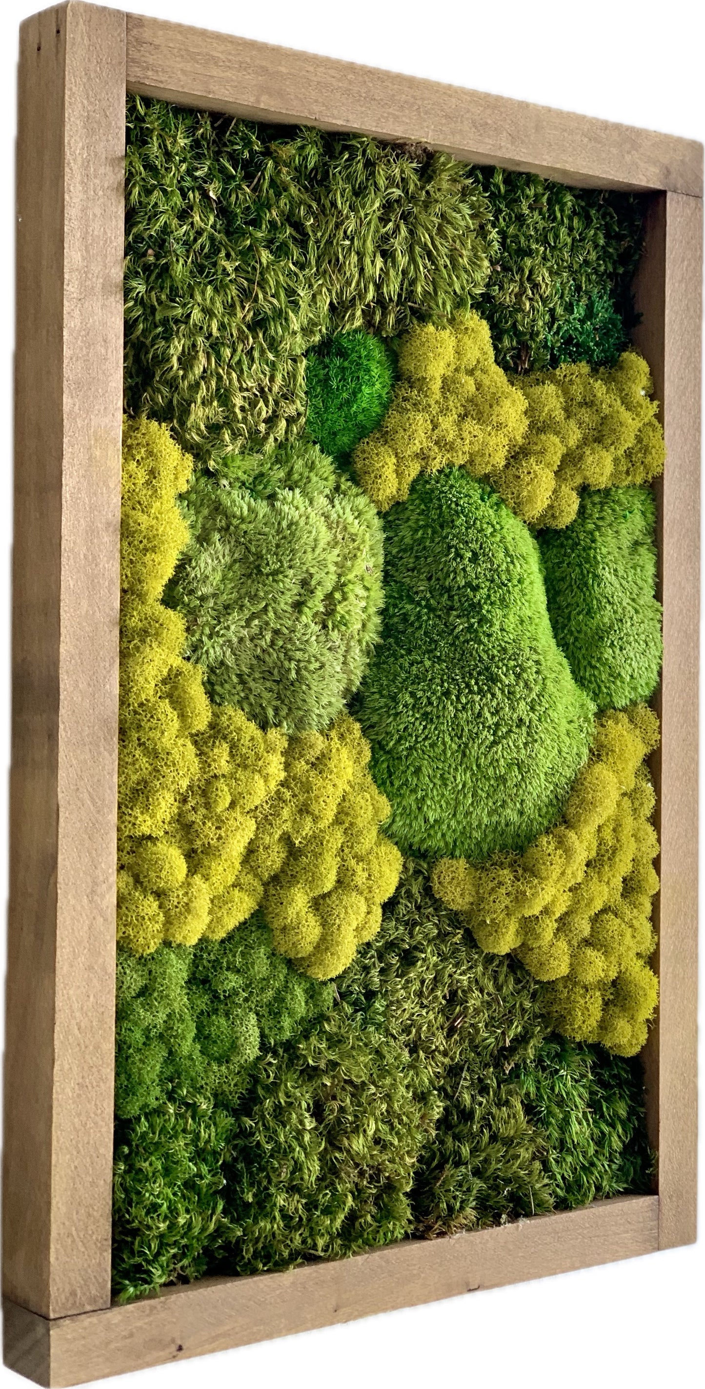 Moss Wall Art (a)