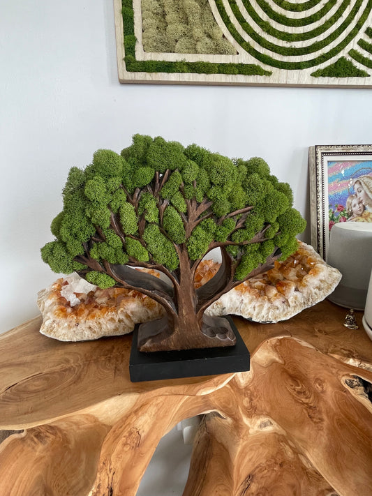 Tree of Life