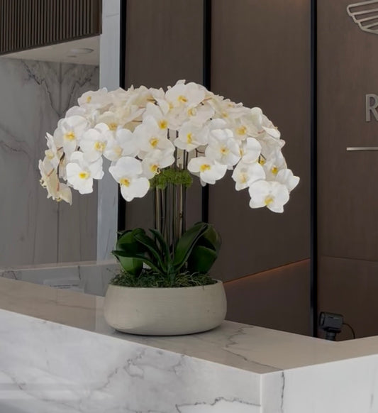 Faux White Orchid Flower Composition in Ceramic Vase and Natural Moss