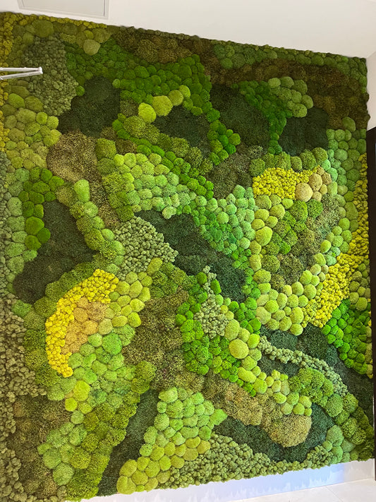 Moss Art Installation Biophilic Design- Custom Made